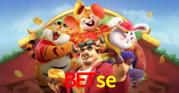 Descubra a Essência do Betse: Nossa História e Compromissos